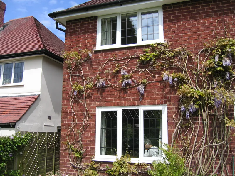 Edwardian Conservatory — Gallery Wandsworth